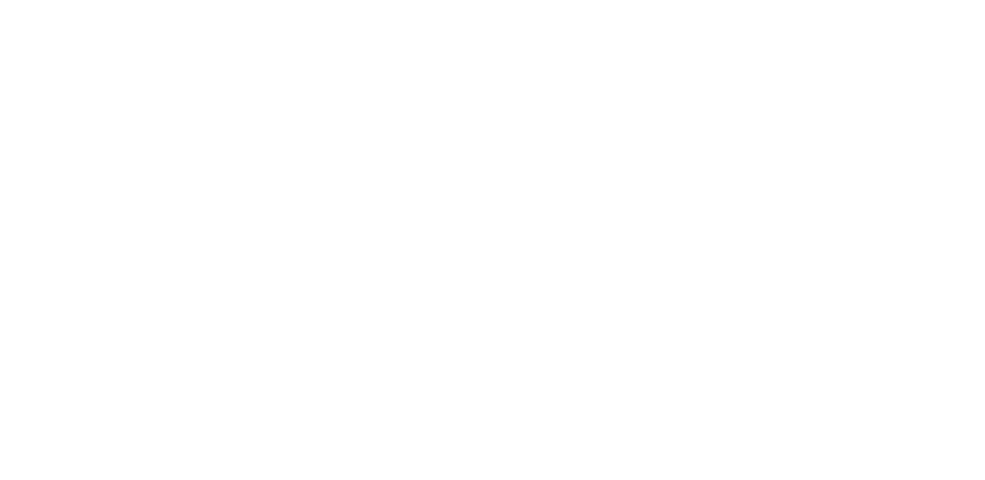 VIO IMAGE Studio